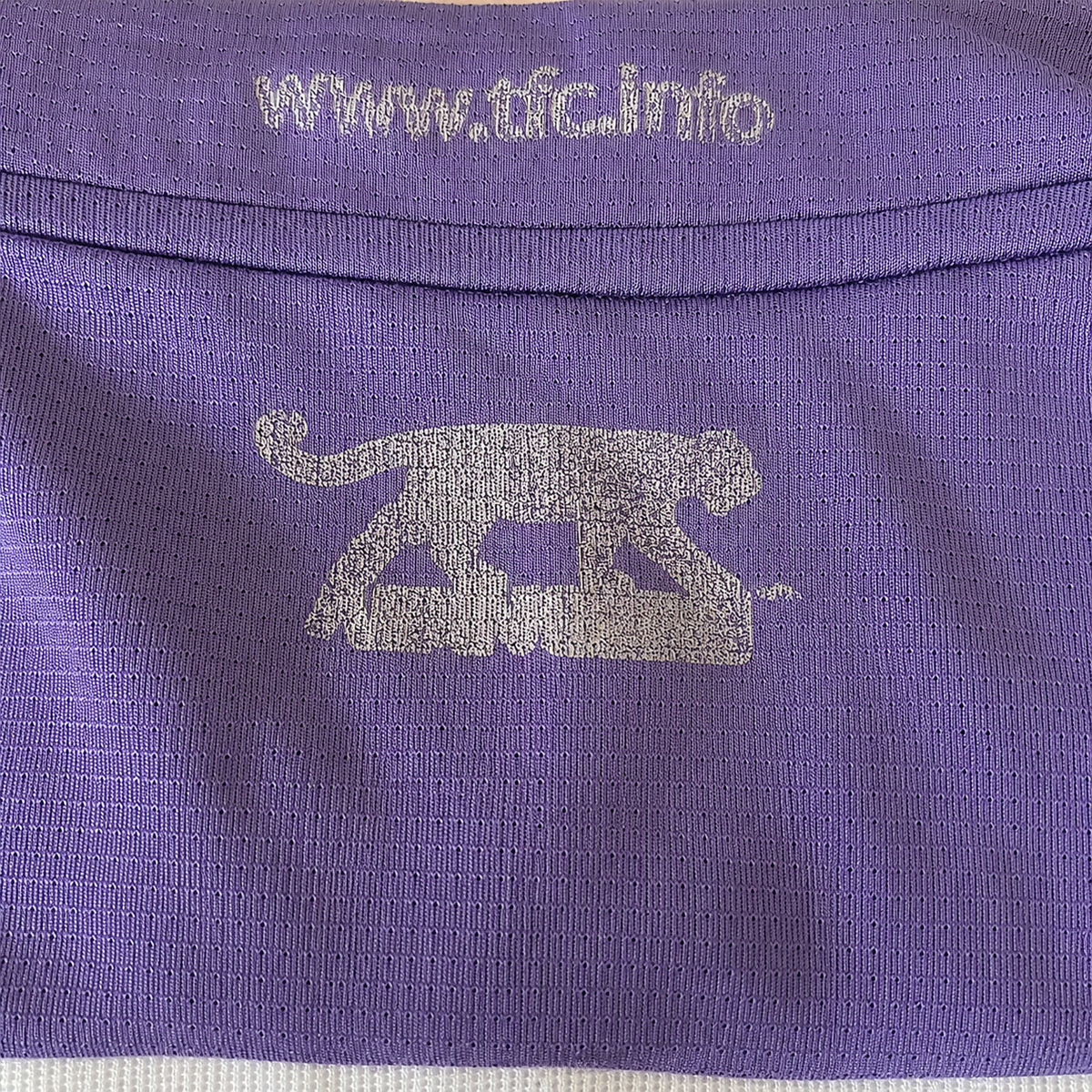 Toulouse FC – Domicile – 2008/2009 – André-Pierre Gignac #10 (L cyntré)